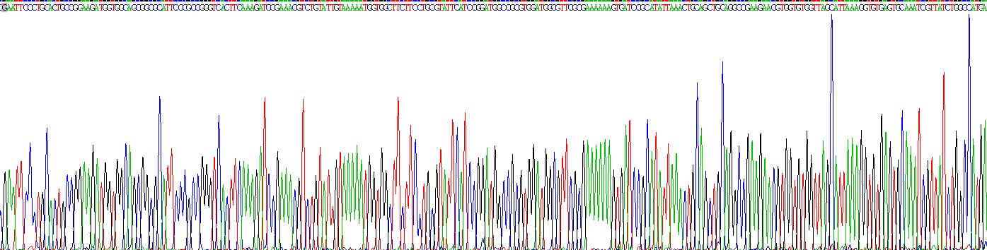 Recombinant Fibroblast Growth Factor 2, Basic (FGF2)