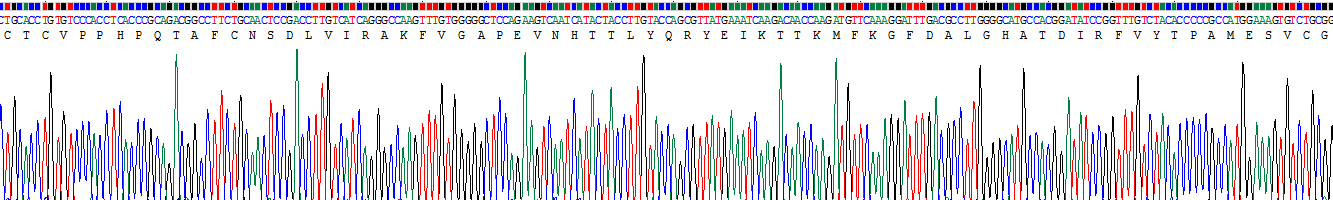 Recombinant Tissue Inhibitors Of Metalloproteinase 1 (TIMP1)