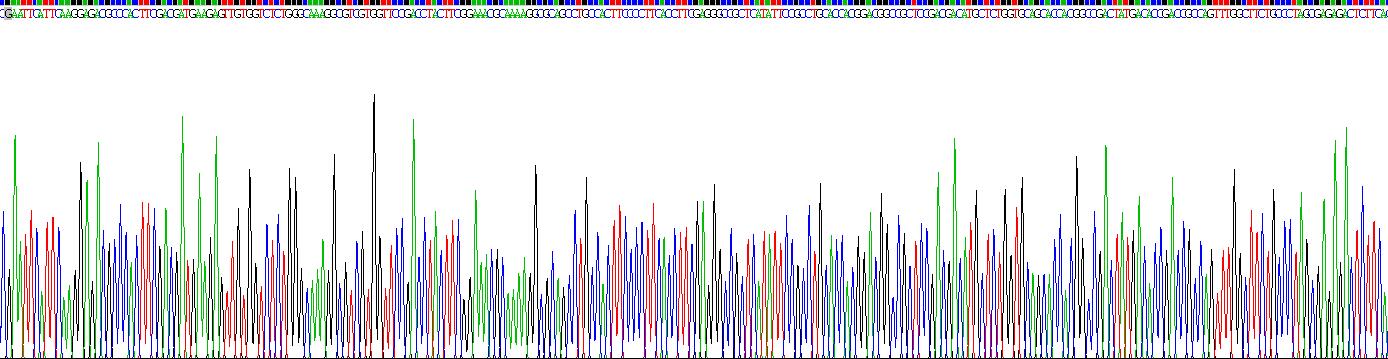 Recombinant Matrix Metalloproteinase 9 (MMP9)