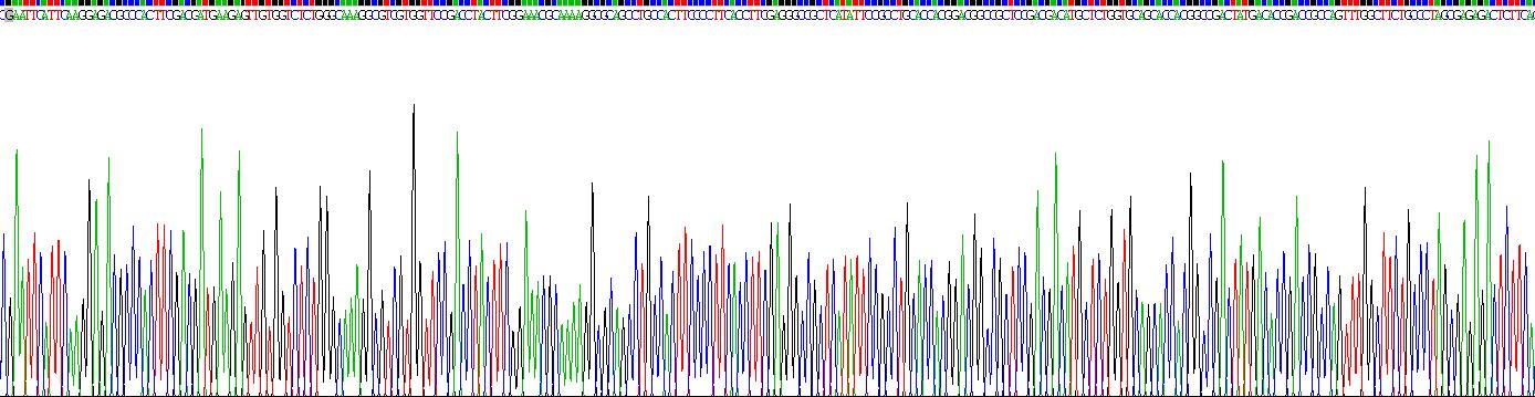 Recombinant Matrix Metalloproteinase 9 (MMP9)