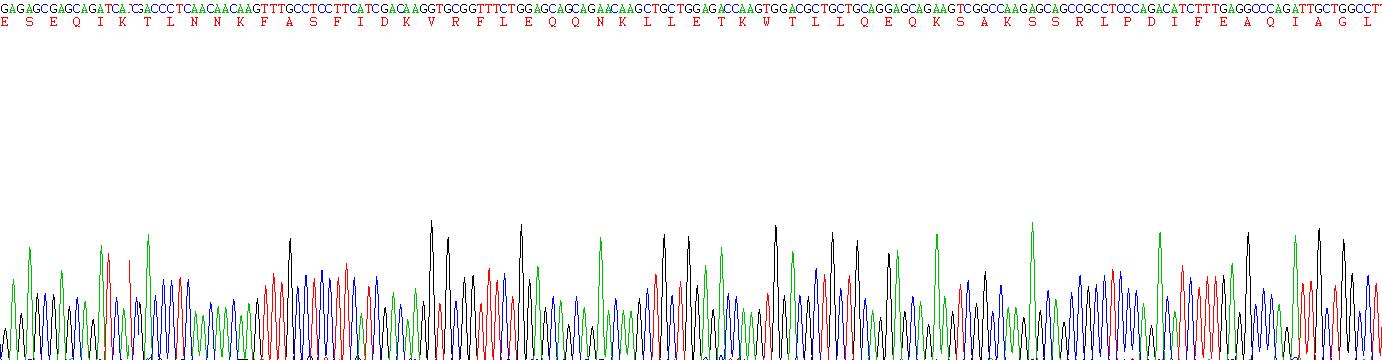 Recombinant Cytokeratin 7 (CK7)