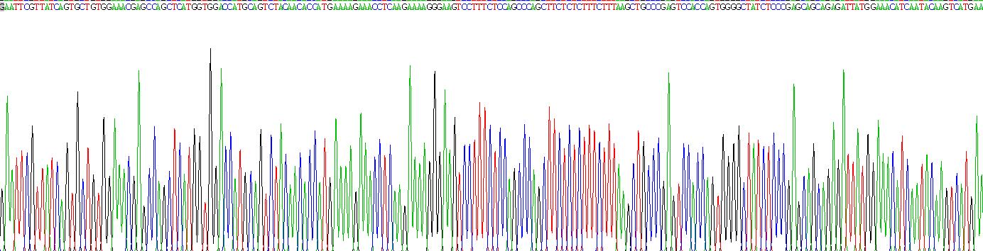 Recombinant Thyroid Peroxidase (TPO)