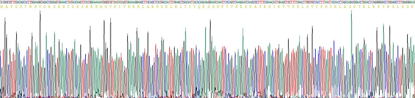 Recombinant Fatty Acid Binding Protein 2, Intestinal (FABP2)