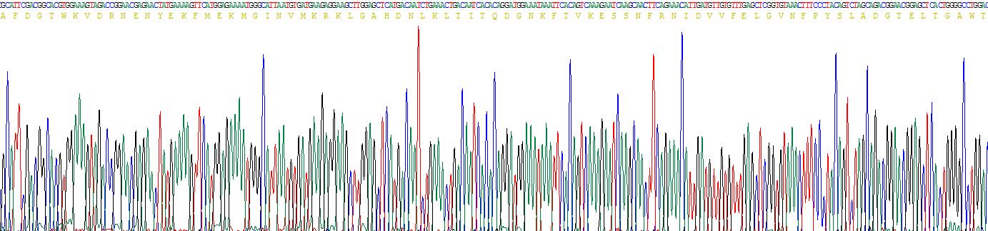 Recombinant Fatty Acid Binding Protein 2, Intestinal (FABP2)