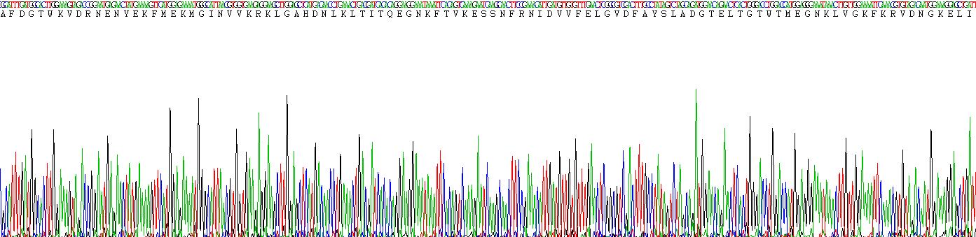 Recombinant Fatty Acid Binding Protein 2, Intestinal (FABP2)