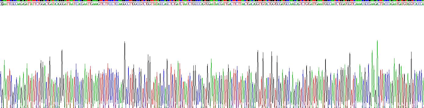Recombinant Epidermal Growth Factor (EGF)