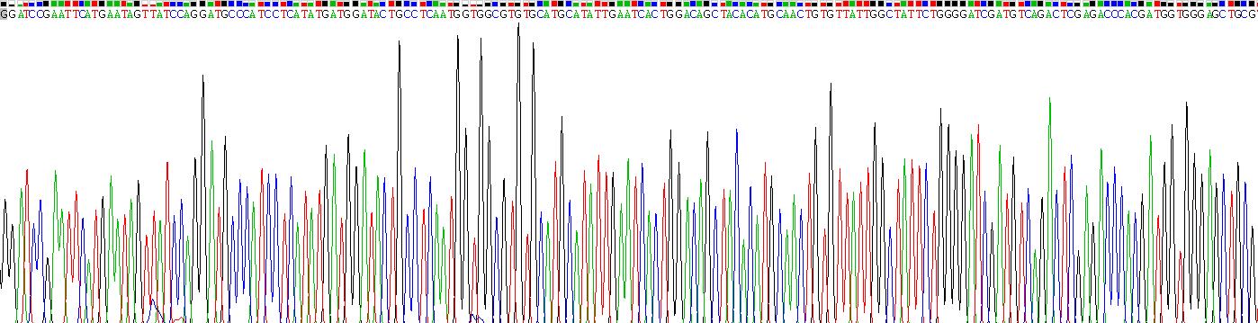 Recombinant Epidermal Growth Factor (EGF)