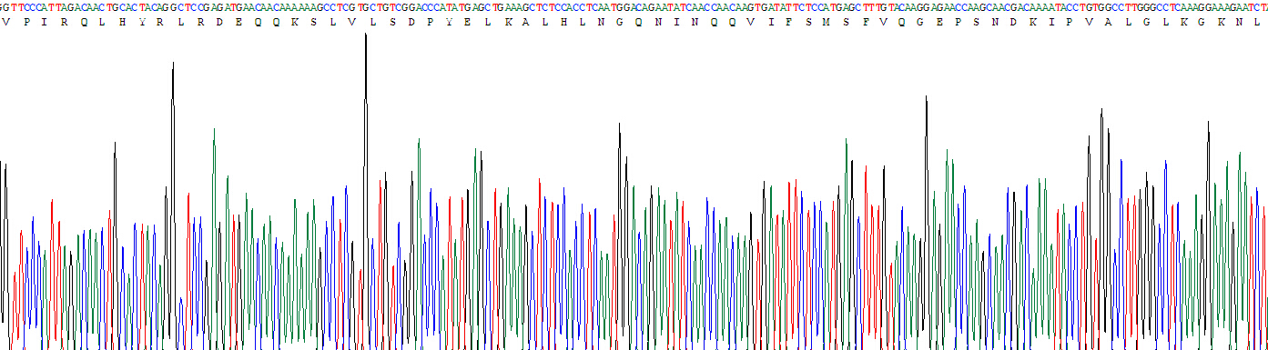 Recombinant Interleukin 1 Beta (IL1b)