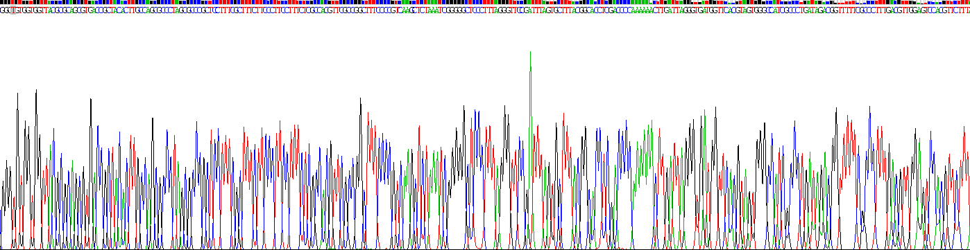 Recombinant Interleukin 1 Beta (IL1b)