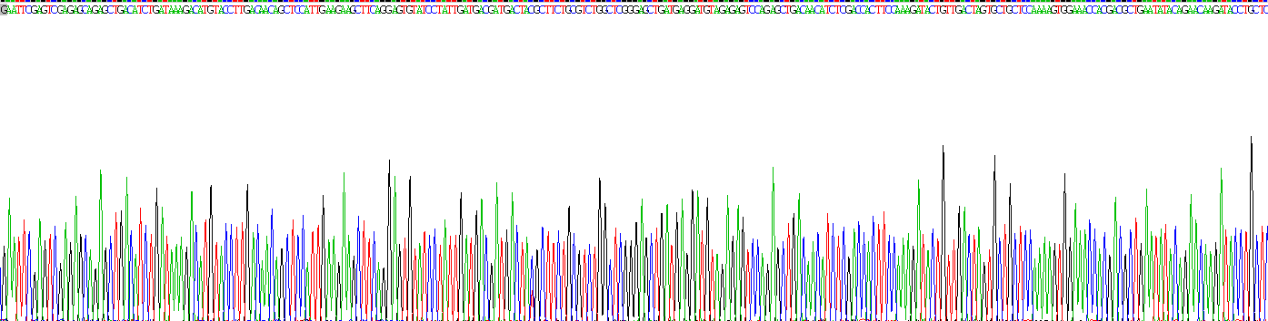 Recombinant Heparan Sulfate Proteoglycan (HSPG)