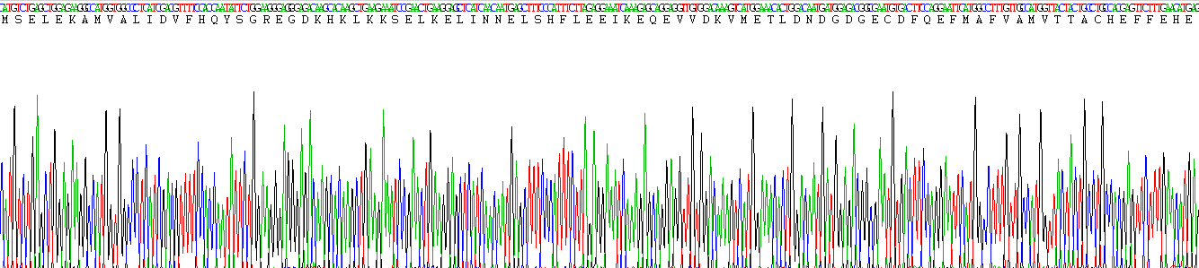 Recombinant S100 Calcium Binding Protein B (S100B)