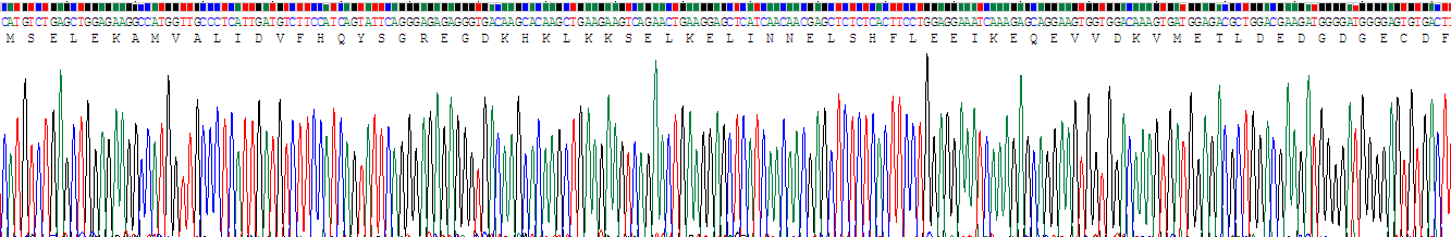 Recombinant S100 Calcium Binding Protein B (S100B)