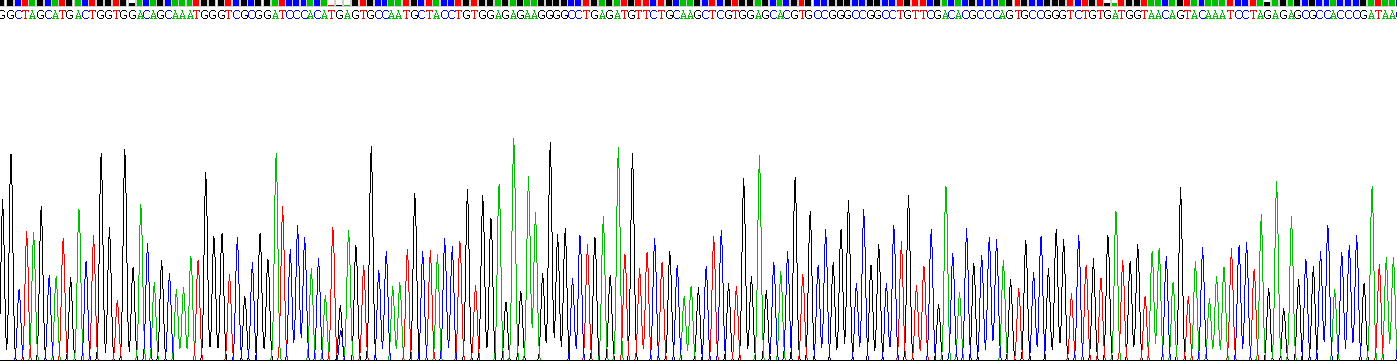 Recombinant Laminin Alpha 1 (LAMA1)