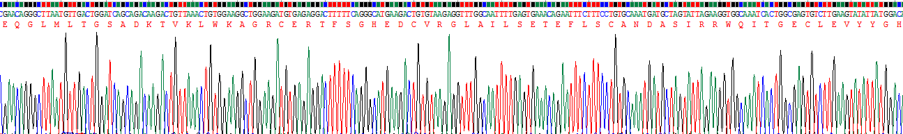 Recombinant Phospholipase A2 Activating Protein (PLAP)