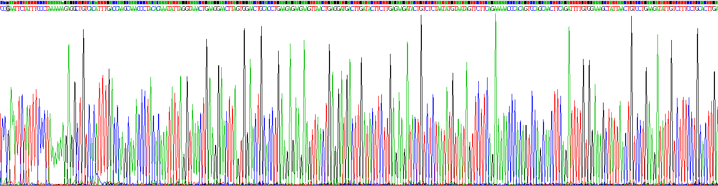 Recombinant Phospholipase A2 Activating Protein (PLAP)