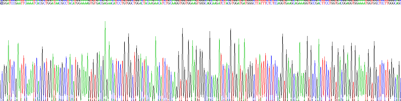 Recombinant Pyruvate kinase isozymes M2 (PKM2)