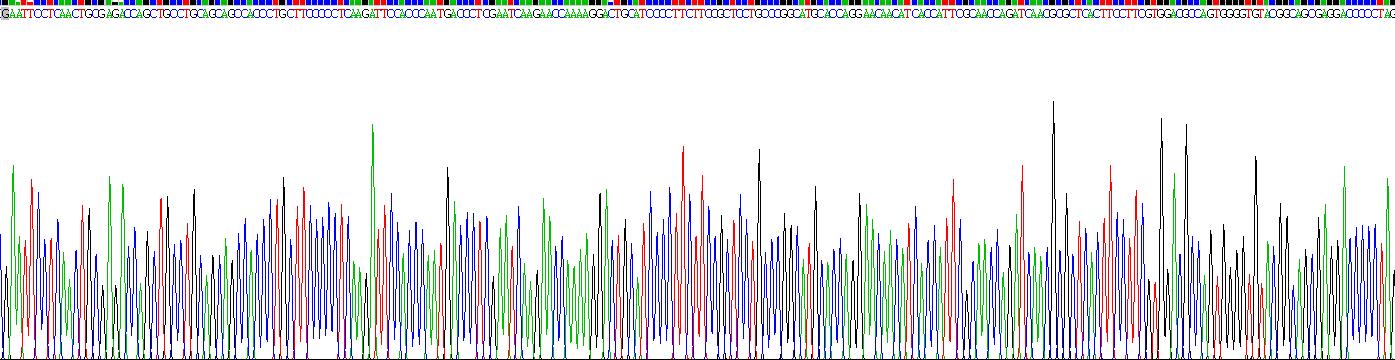 Recombinant Myeloperoxidase (MPO)