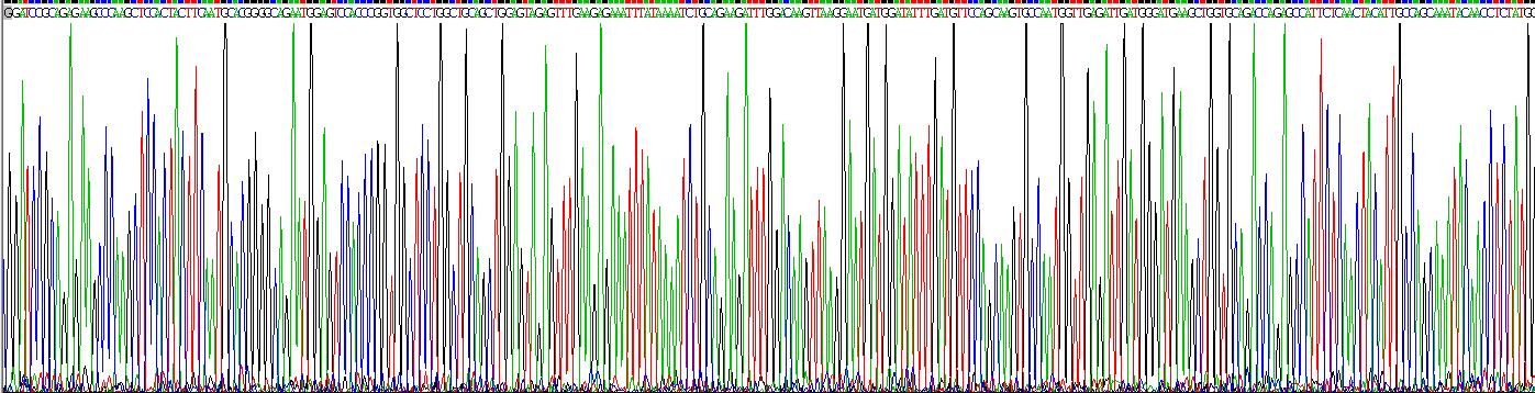 Recombinant Glutathione S Transferase Alpha 1 (GSTa1)