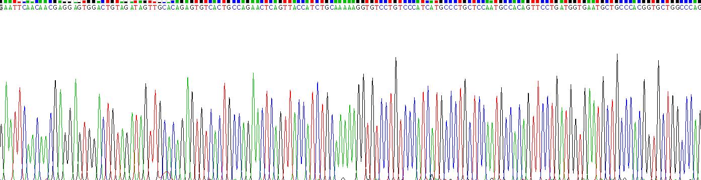 Recombinant Thrombospondin 1 (THBS1)