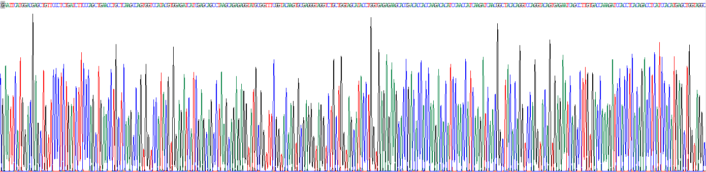 Recombinant Transcription Factor P65 (NFKB3)