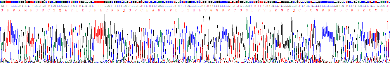 Recombinant A Disintegrin And Metalloprotease 8 (ADAM8)