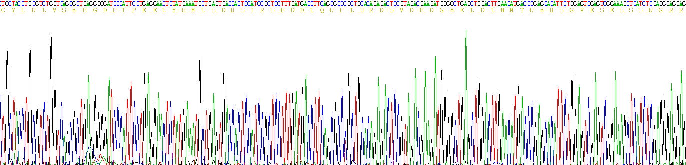 Recombinant Platelet Derived Growth Factor BB (PDGF BB)