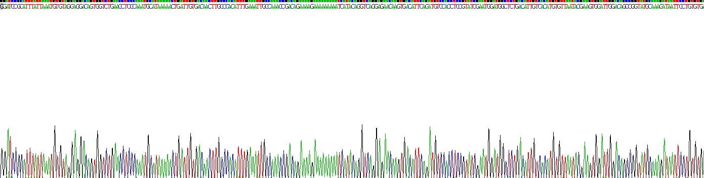 Recombinant Complement Factor H (CFH)