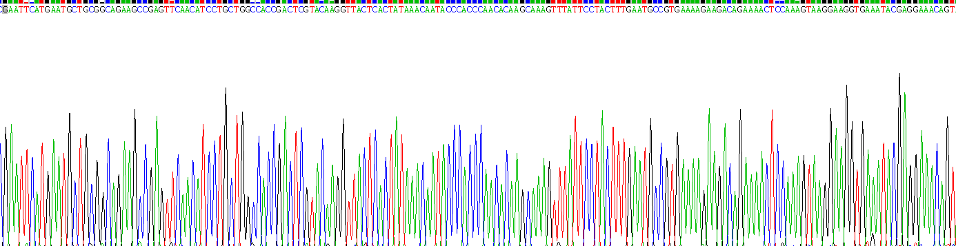 Recombinant Visfatin (VF)