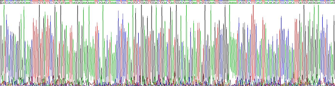 Recombinant Complement component 1 Q subcomponent-binding protein, mitochondrial (C1QBP)