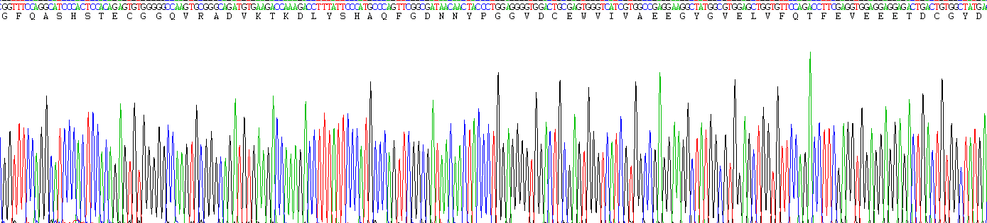 Recombinant Bone Morphogenetic Protein 1 (BMP1)