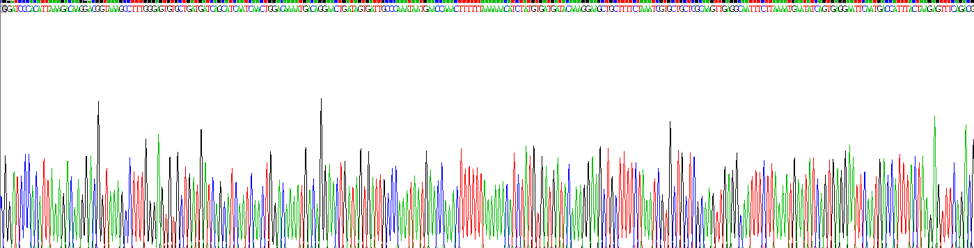 Recombinant Interleukin 7 (IL7)