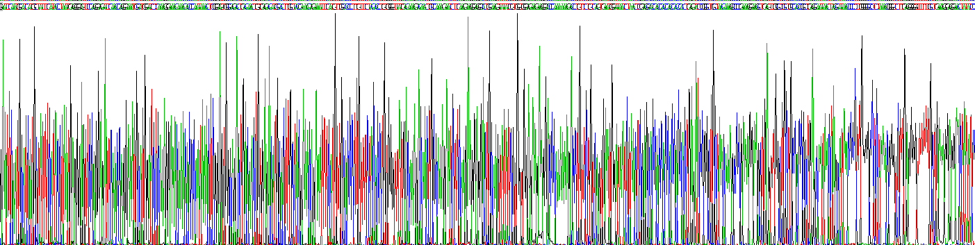 Recombinant Toll Like Receptor 2 (TLR2)