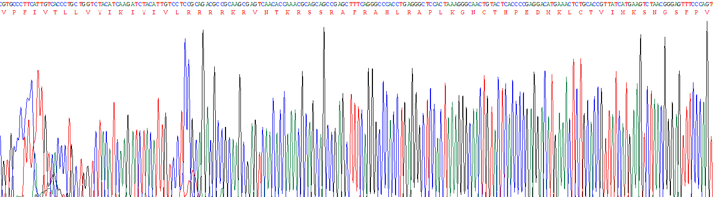 Recombinant Dopamine Receptor D2 (DRD2)