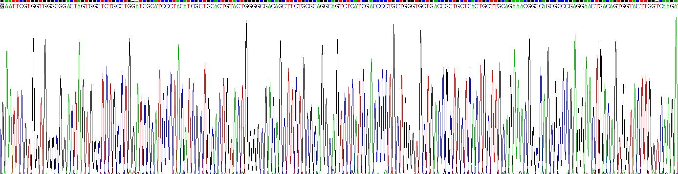 Recombinant Coagulation Factor XII (F12)