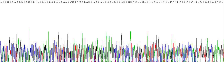 Recombinant Procalcitonin (PCT)