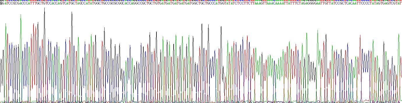 Recombinant Thioredoxin (Trx)