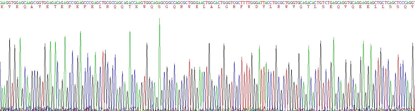 Recombinant Apolipoprotein E (APOE)