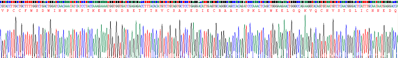 Recombinant Mucin 2 (MUC2)