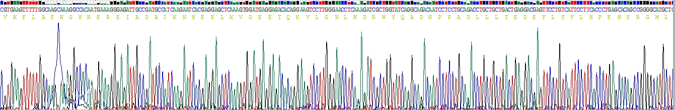 Recombinant Stromal Cell Derived Factor 4 (SDF4)