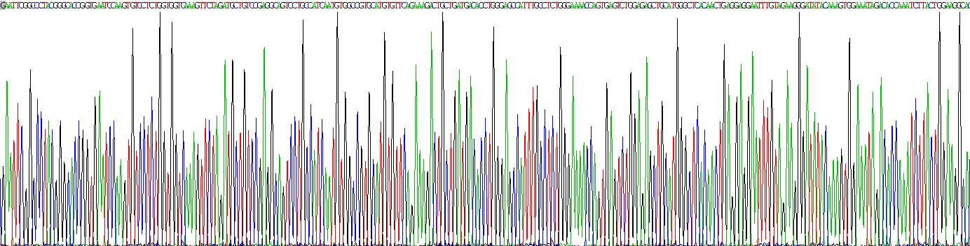 Recombinant Prealbumin (PALB)