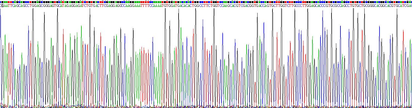 Recombinant Protein C (PROC)