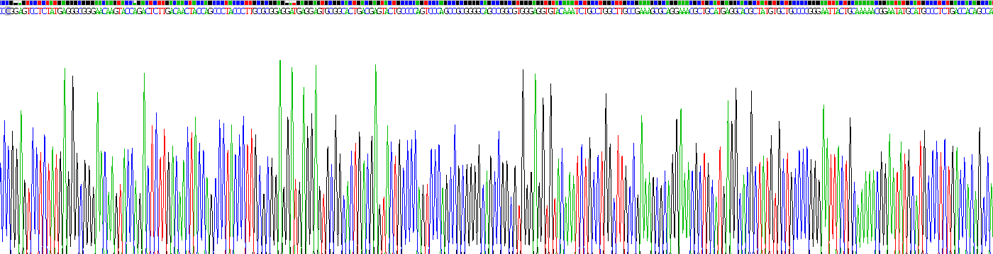 Recombinant Dickkopf Related Protein 1 (DKK1)