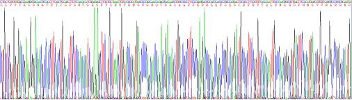 Recombinant Programmed Cell Death Protein 1 (PD1)