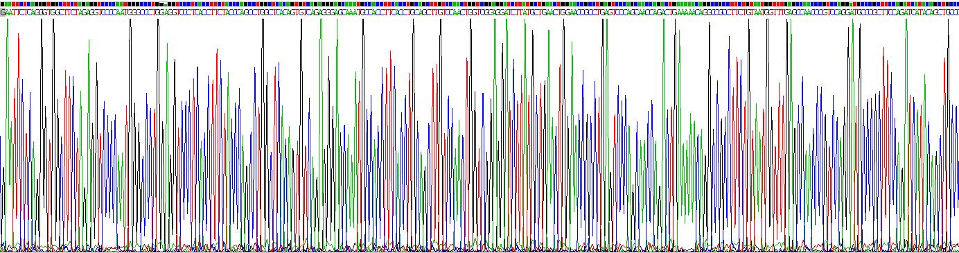 Recombinant Programmed Cell Death Protein 1 (PD1)