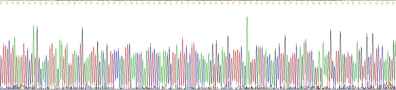 Recombinant Toll Like Receptor 4 (TLR4)