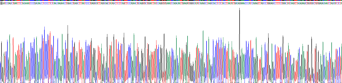 Recombinant Toll Like Receptor 4 (TLR4)