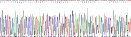 Recombinant Toll Like Receptor 4 (TLR4)