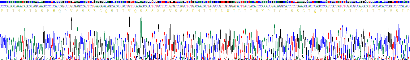 Recombinant Podocalyxin (PODXL)