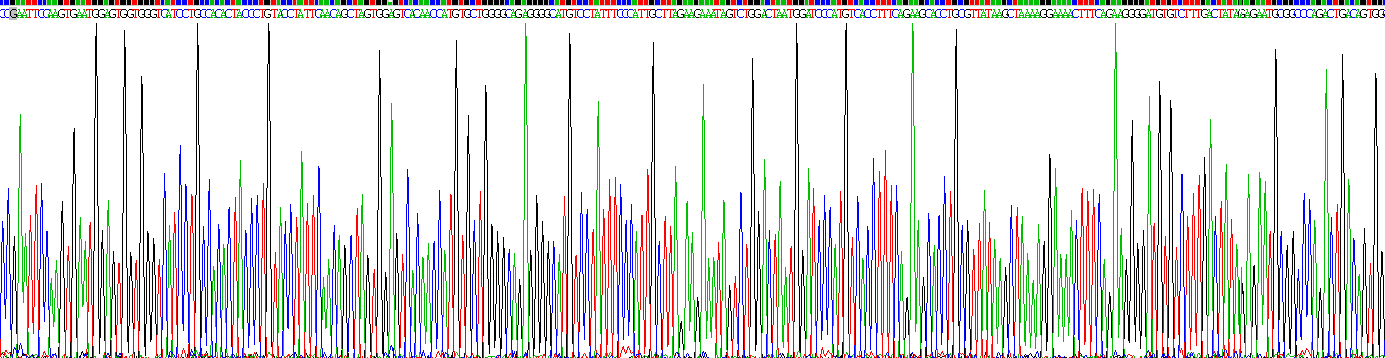 Recombinant Kidney Injury Molecule 1 (Kim1)