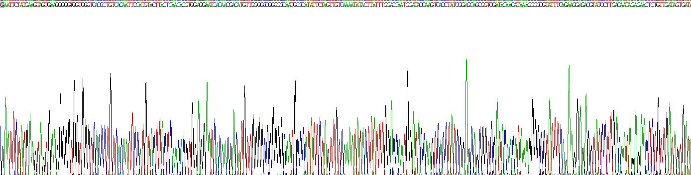 Recombinant Kidney Injury Molecule 1 (Kim1)